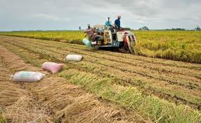 ຫວຽດນາມ ນຳໃຊ້ແຫຼ່ງກຳລັງ ແລະ ຮູບແບບໂຄງການຂອງ IFAD ຢ່າງມີປະສິດທິຜົນ